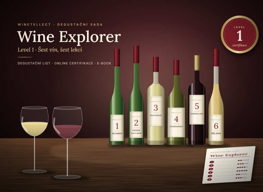 Level 1 · Wine Explorer